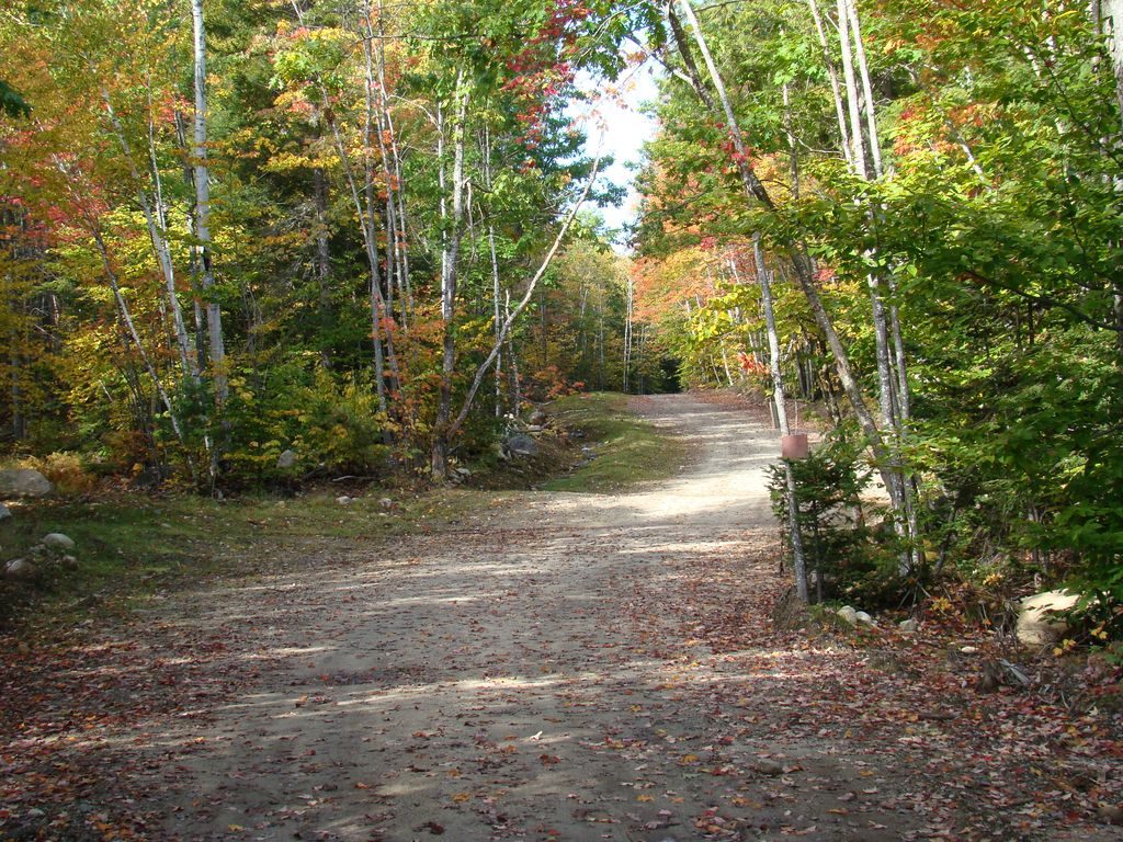 Moose Lake Ranch — lodge and grounds