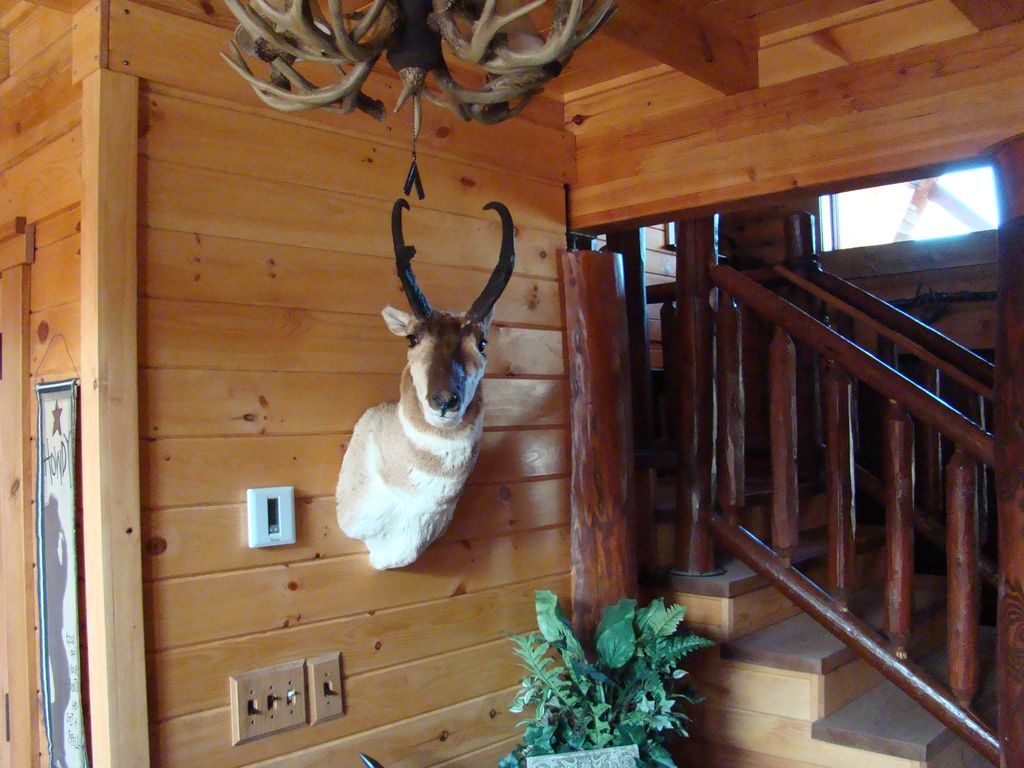 Moose Lake Ranch — lodge and grounds